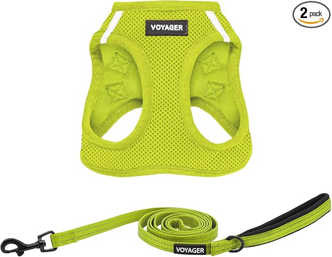 Best Pet Supplies Voyager Step-in Air All Weather Mesh Harness and Reflective Dog 5ft Leash Combo with Neoprene Handle, for Small, Medium and Large Breed Puppies - Lime Green, Small