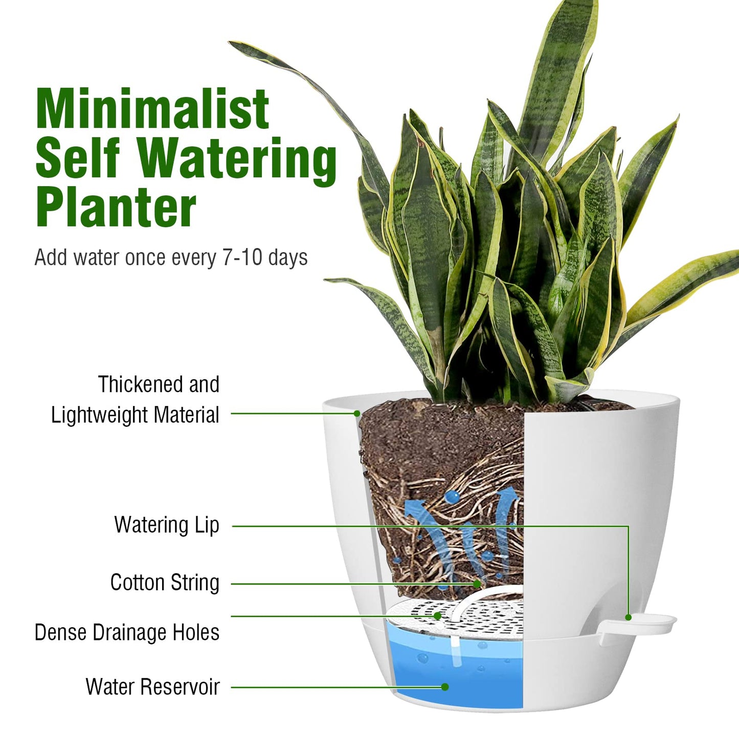 WSMKSZ 8 inch Self Watering Pots, Planter, Plant Pots with Mesh Drainage Holes for Indoor Outdoor House Plants and Garden, 2 Pack Plastic Flower Pots with Deep Reservoir for Patio Porch, White