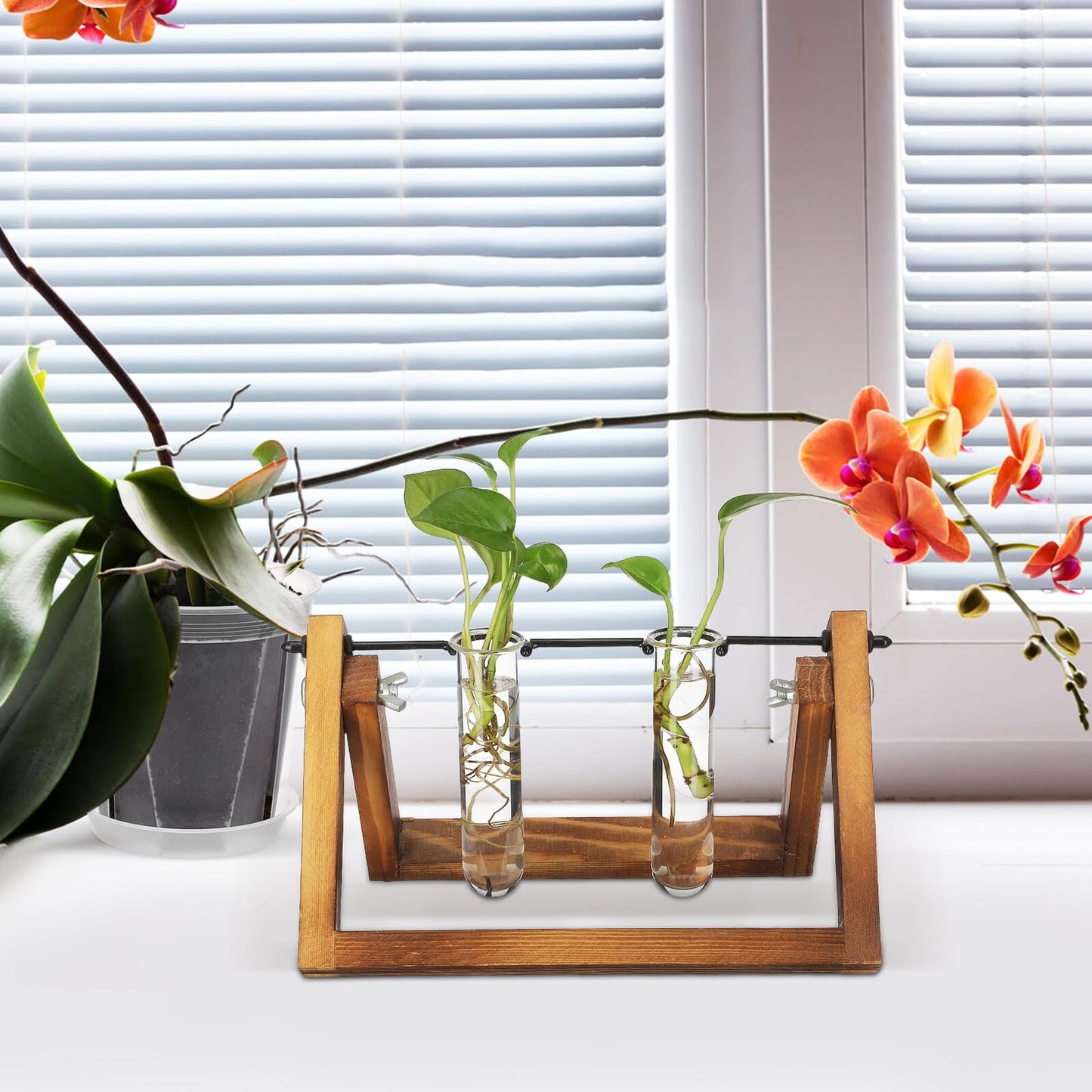 Artibetter 5pcs Glass Plant Propagation Tubes 2.5x3x11cm Test Tube Hydroponic Flower Vase for Indoor Plant Propagation and Terrarium Display