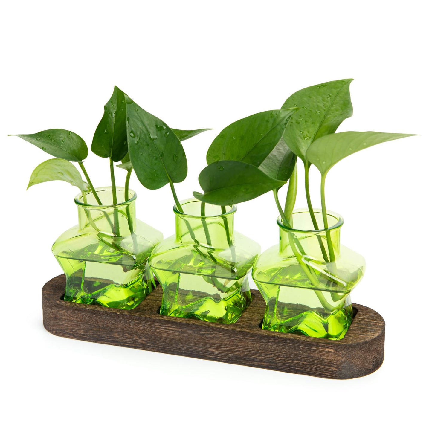 XXXFLOWER Plant Propagation Station with Wooden Stand，Air Plant Terrarium Starter Kits Star Vases for Flowers Plant Cutting Rooting Pots Indoor Hydroponic Glass Planter for Plant Lovers,3 Jars(Green)
