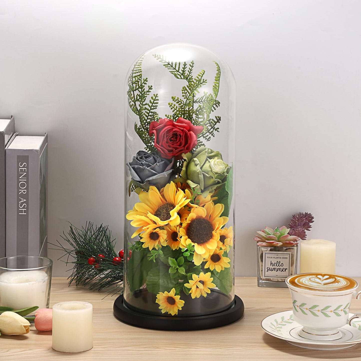 JUXYES 13.8 Inches Glass Display Dome Cloche with Black Wood Base, Clear Glass Dome Cloche Bell Terrarium Jar Glass Cloche Bell Jar Display for Plants Collectible Figure, 15x35cm