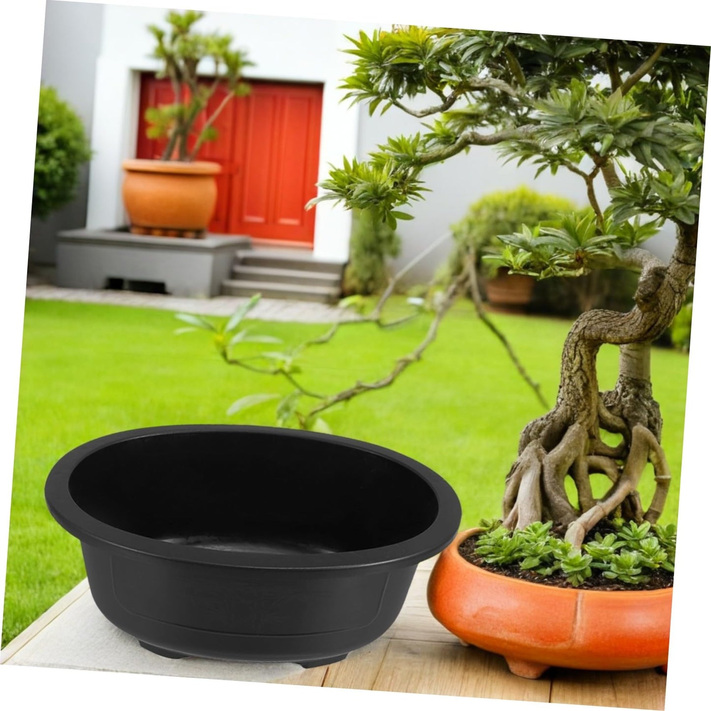 Toddmomy 2Pcs 19 Inch Large Oval Bonsai Training Pots, Plastic Bonsai Planters with Drainage Holes for Indoor Outdoor Garden Nursery Balcony Office