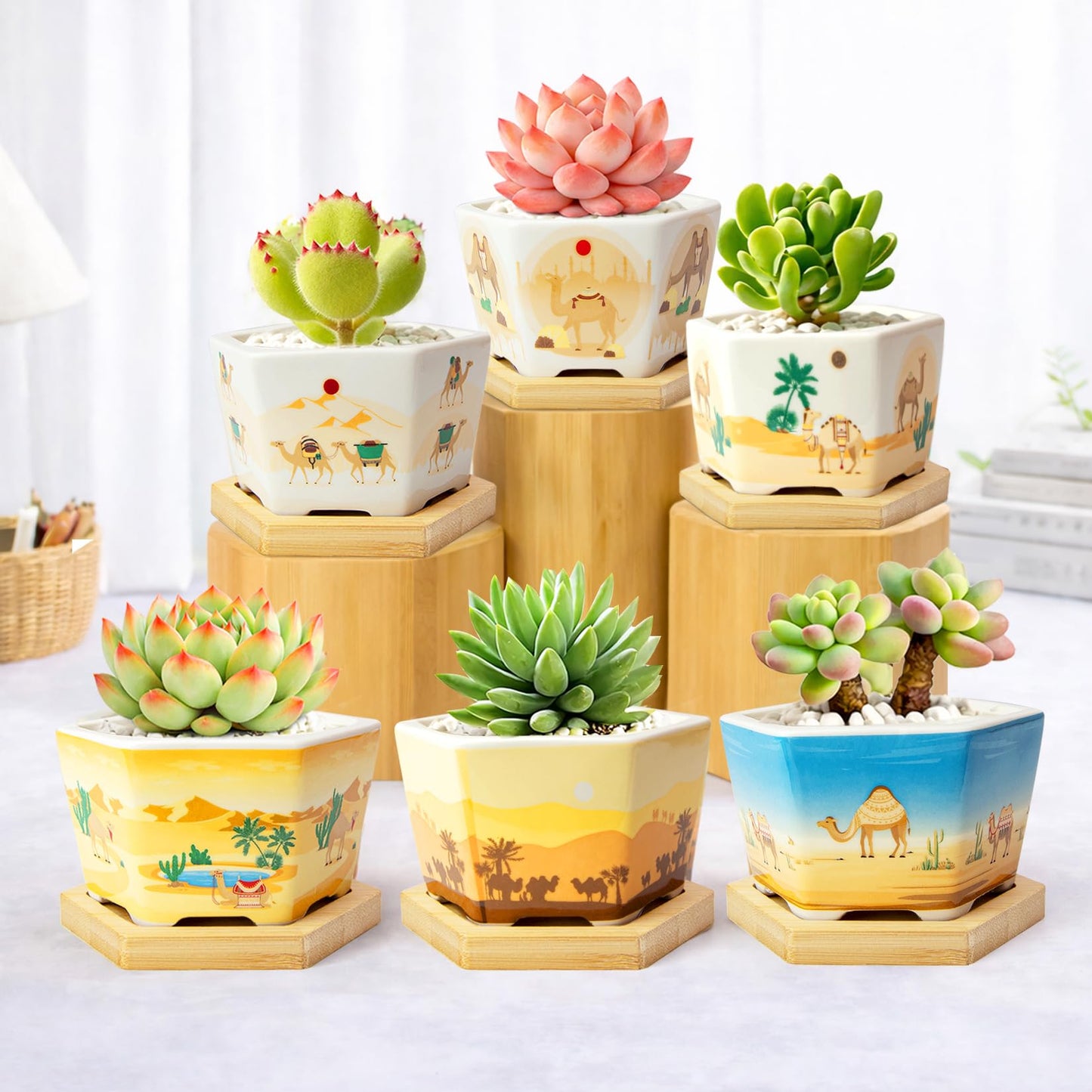 Succulent Pots, 6 Pack Floral Plant Pots with Drainage Tray, 3.7" Small Flower Pots for Indoor Plants, Ceramic Succulent Planters for Cactus, Home Office Decor