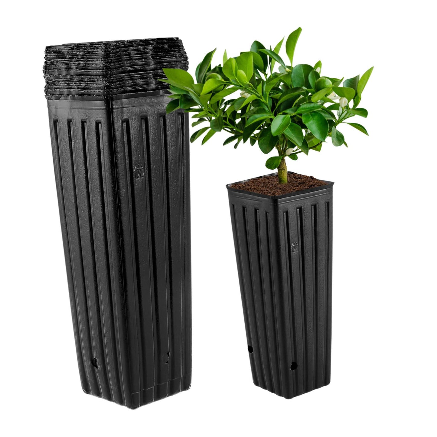 YARNOW 50pcs Tall Nursery Pots for Trees, 11.8 x 3.9 Inch, Black Plastic Grow Bags with Drainage Holes for Vegetables, Fruits, and Flowers