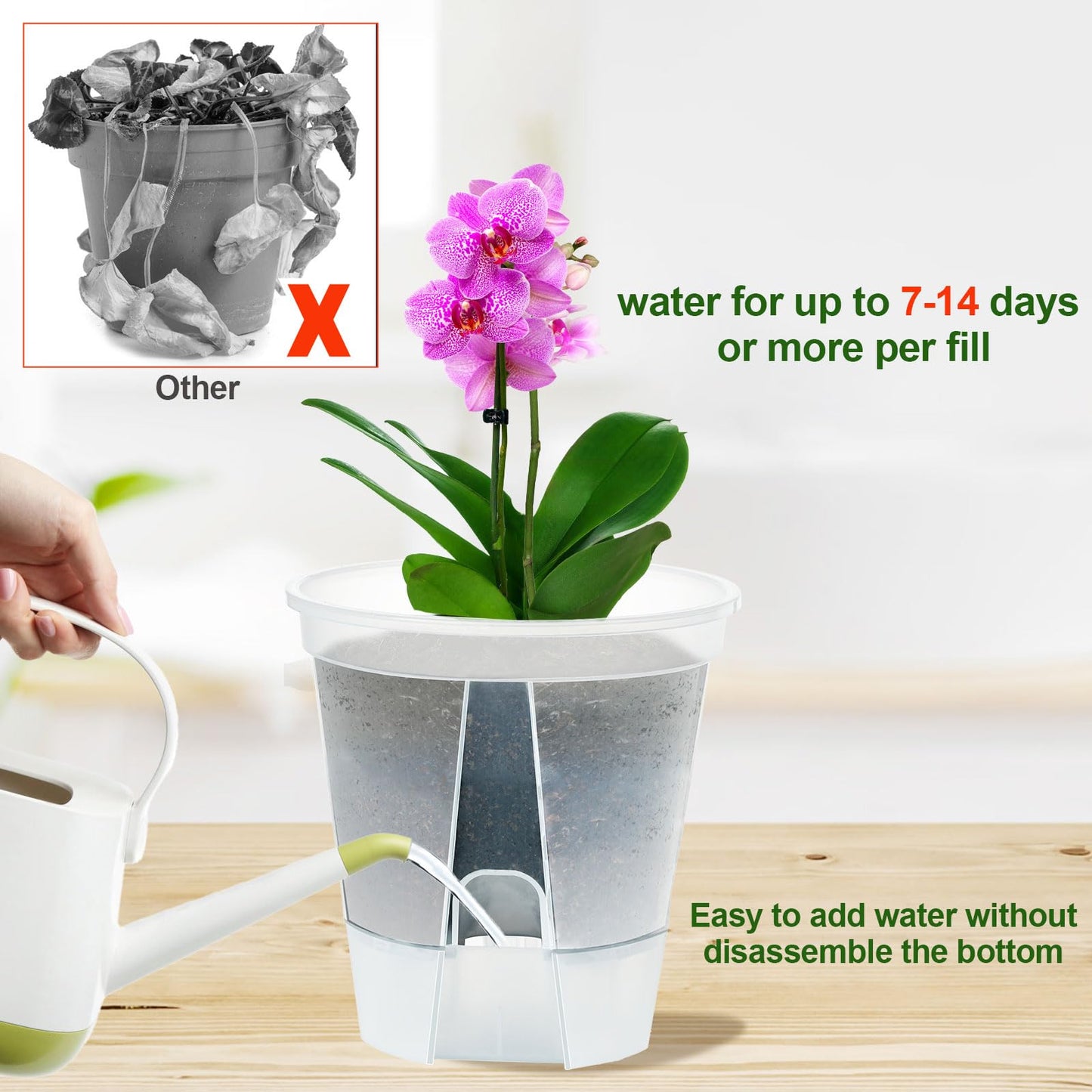 IWNTWY Plant Pots 6 inch Set of 5, Self Watering Pots for Indoor Outdoor, Self Watering Planters Flower Pots with Drainage Hole and Saucer Reservoir (Clear)