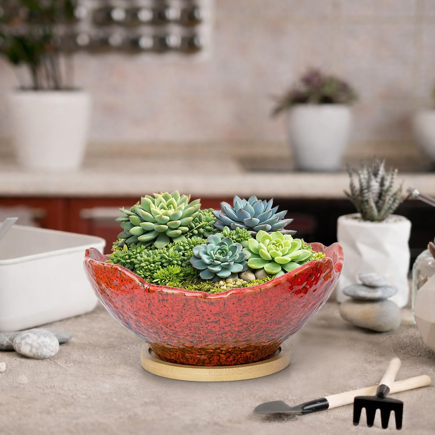 ARTKETTY Bonsai Pots - 9.06'' Ceramic Pots for Indoor Plants, Large Succulent Pots with Drainage Bamboo Tray, Unique Bonsai Tree Planters Round Cactus Flower Plant Container Bowl Home Office Decor