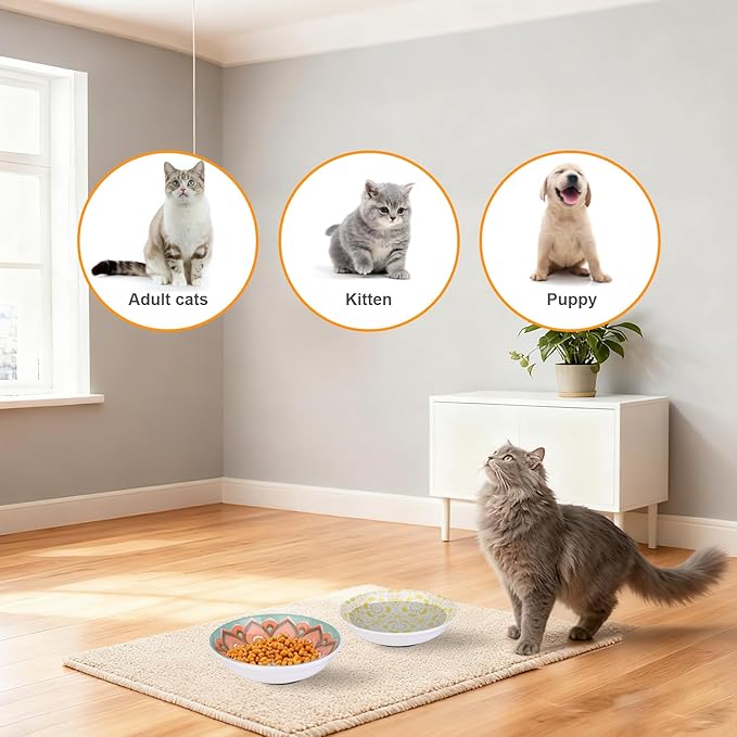 HAPPY KIT Ceramic Cat Food Bowl Set of 2, 5.75 inch Wide Shallow Cat Bowls/Dishes for Indoor, with Non-Slip Silicone Bottom, Whisker Friendly
