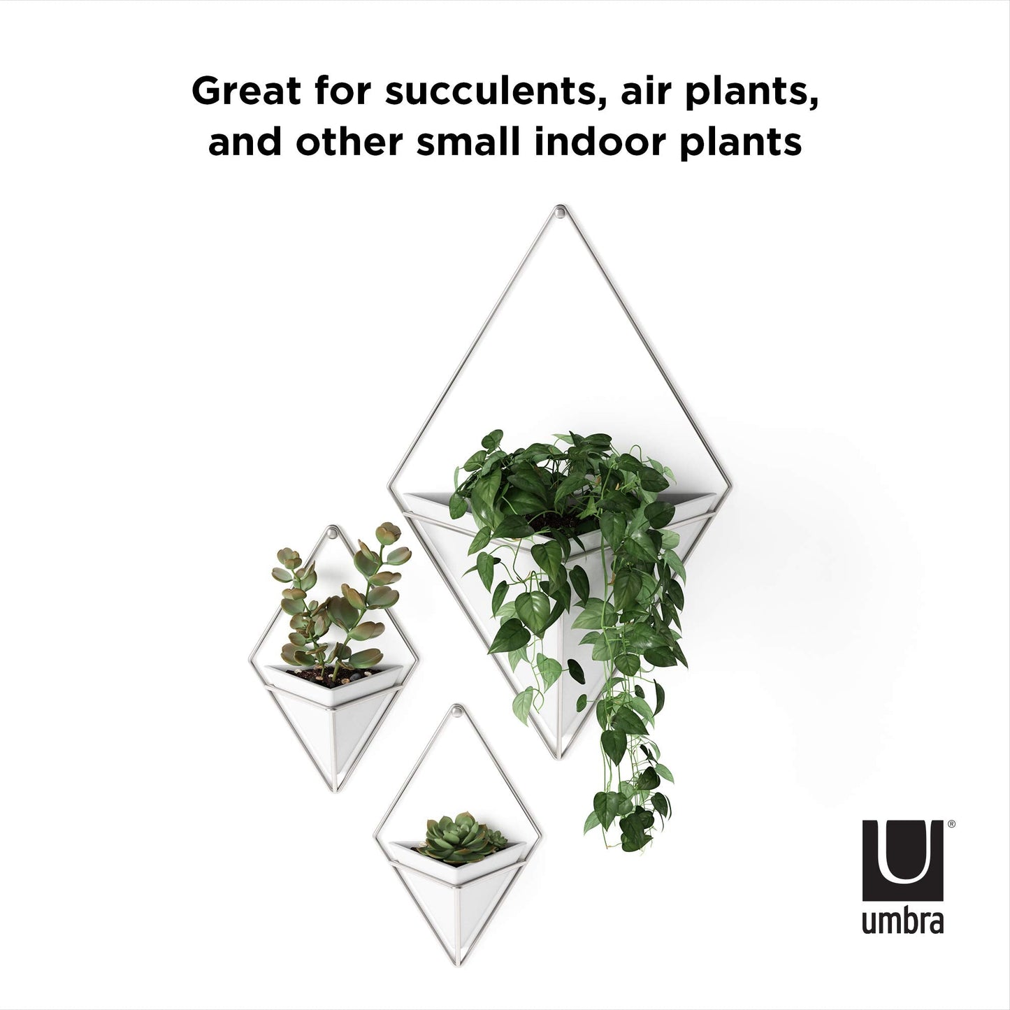 Umbra Trigg Hanging Planter Vase Wall Decor, Pot and Container for Succulents, Cactus, Faux Plants, and More, Large, White/Nickel