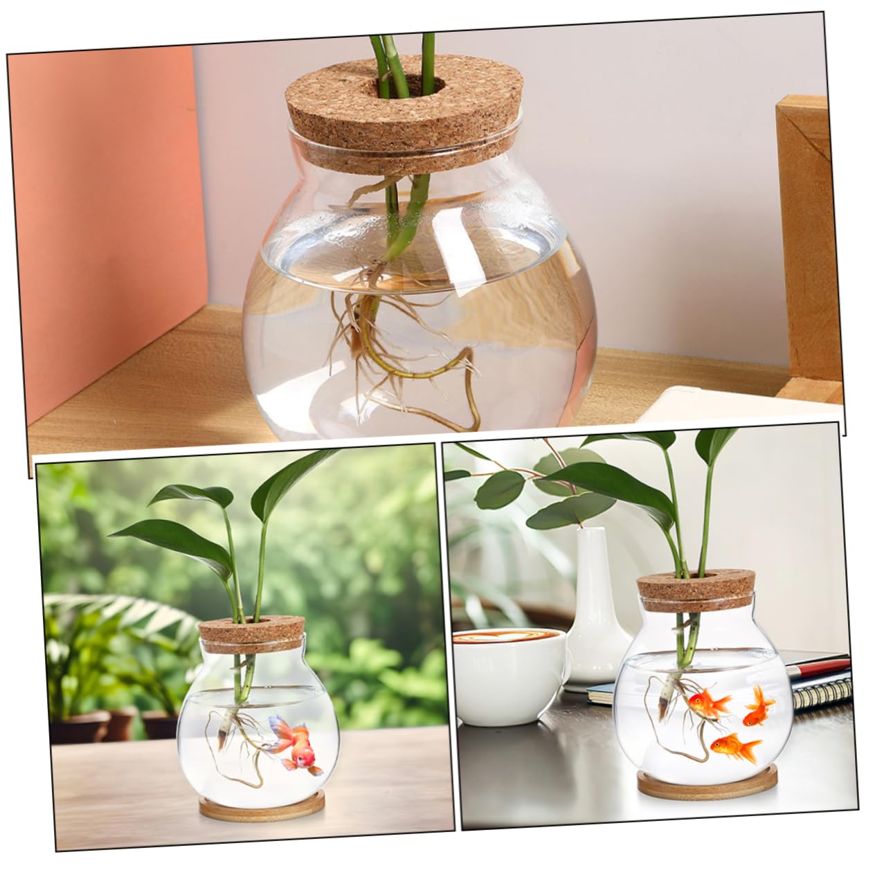 Toyvian Glass Hydroponic Vase with Wooden Base Elegant Propagation Container for Indoor Plants Terrarium Flower Pot for Decor Easy to Clean and Maintain