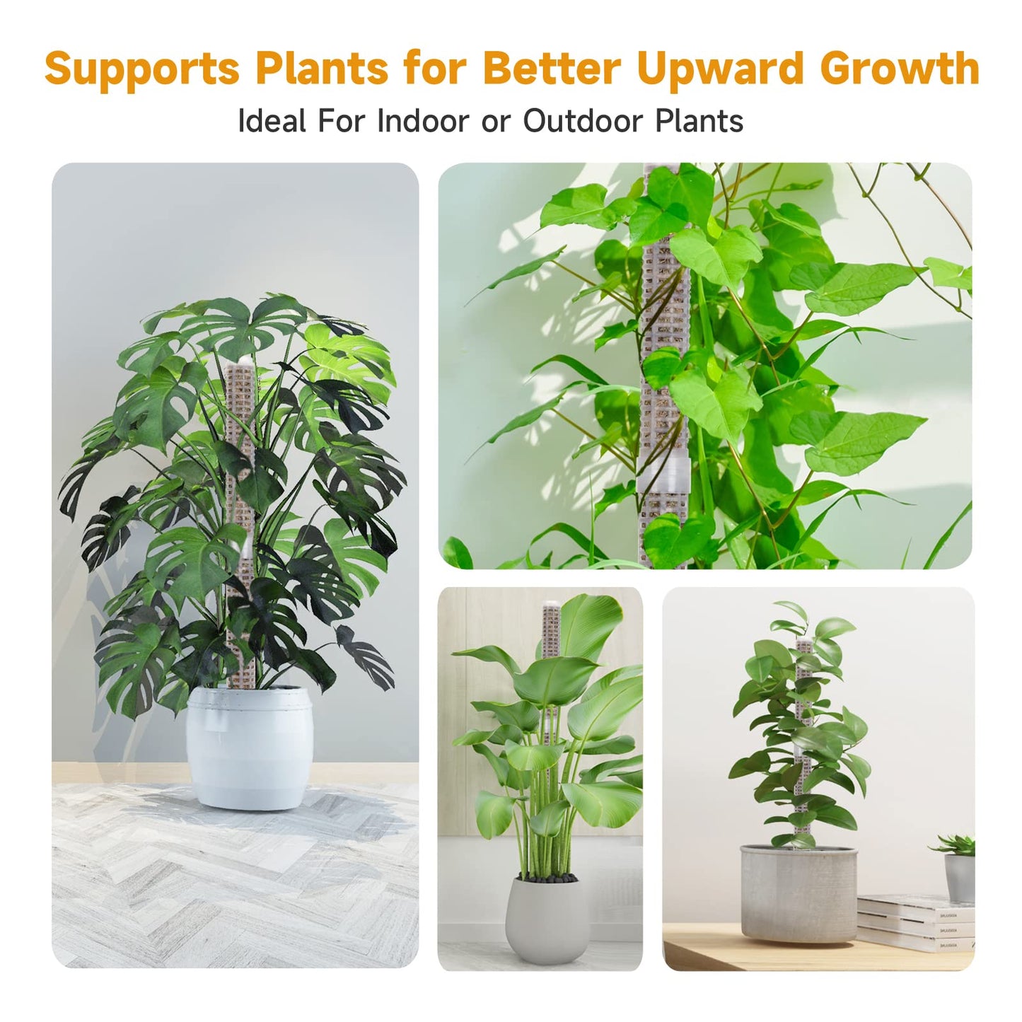 Phoedg Pre-Filled Sphagnum Moss Pole for Climbing Plants, 25.4 Inch Extendable Plant Stakes, Reusable Plastic Moss Support Poles, Long-Lasting Moisture for Pothos & Monstera Growth