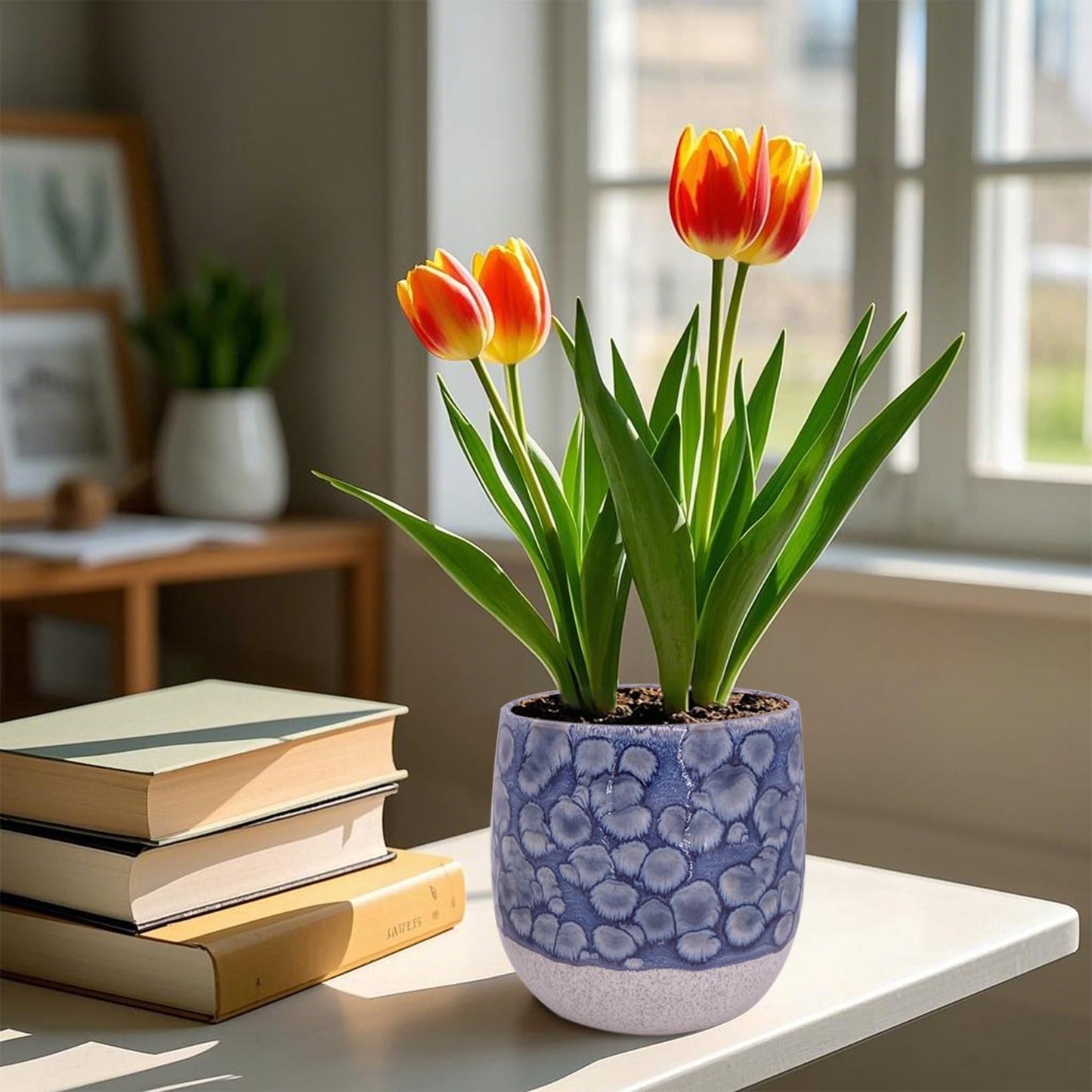 Chralji GIFTWARE 6 in Ceramic Plant Pot with Saucer，Indoor Plant Pot for Plants, Flower Pot with Drainage，Reactive Glaze Blue