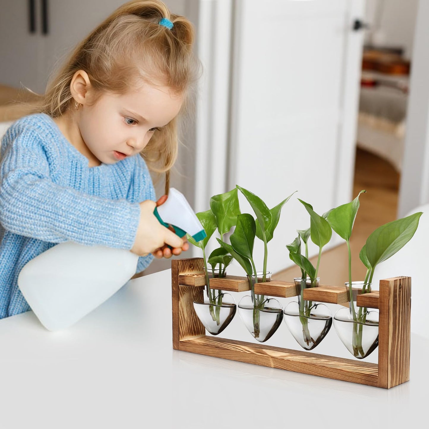 CYZglass Plant Propagation Stations Heart Plant Terrarium Kit Gift for Women Plant Lover Glass Vases