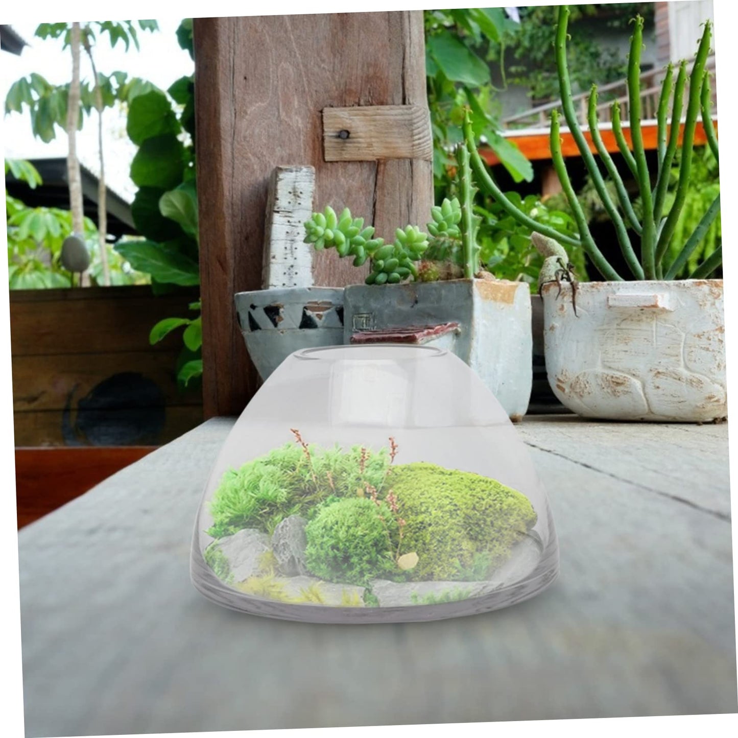 HANABASS Simple Plant Terrarium Glass Moss Micro Landscape Bottle for Home Decor