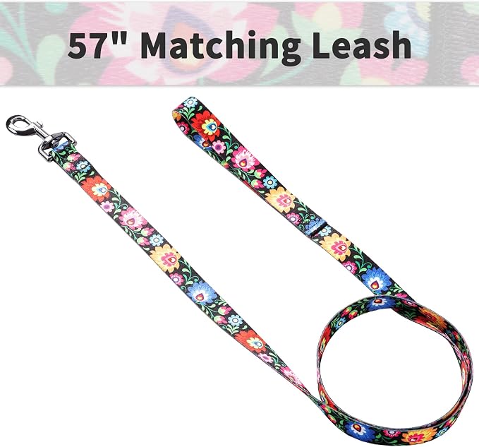 Ihoming Dog Collar and Leash Set for Daily Outdoor Walking Running Training, Black Colorful Flowers Design for Large Boys Girls Dogs Cats Pets, L-Up to 80LBS