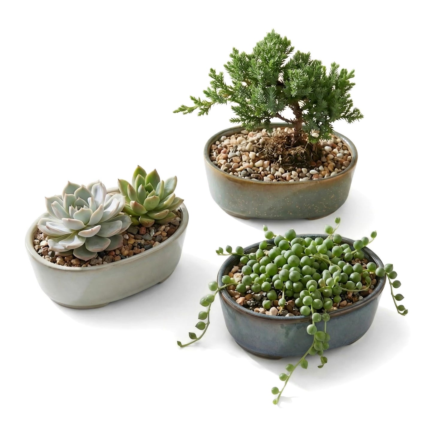 krayce Serenya 6.3 Inch Ceramic Bonsai Pots with Drainage Trays, 3 Pack Shallow Kiln Glazed Planters for Succulents & Bonsai, Indoor Outdoor Decor for Beginners