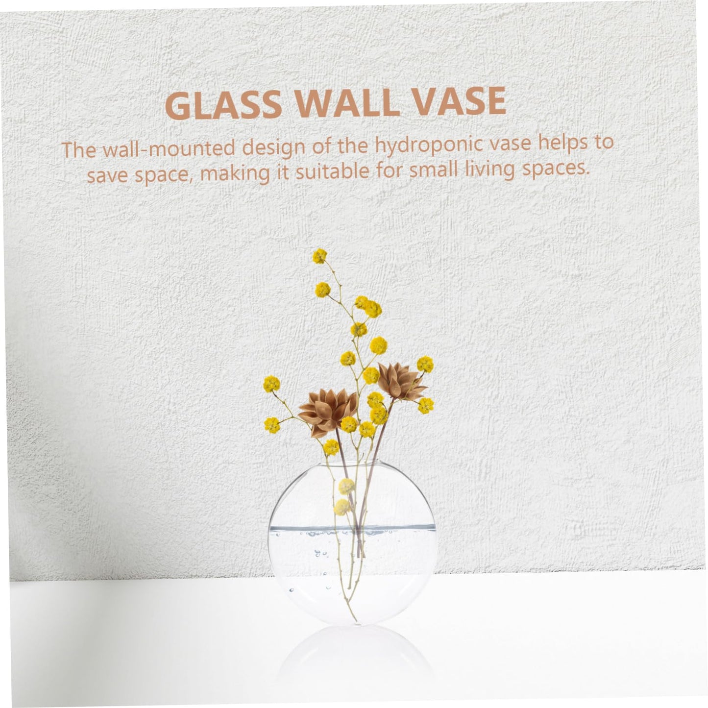 HAKIDZEL 2pcs Wall Hanging Glass Terrarium Holders Transparent Hydroponic Vases for Flowers Space-Saving Glass Bottles for Indoor Outdoor Plant Display Home Decor