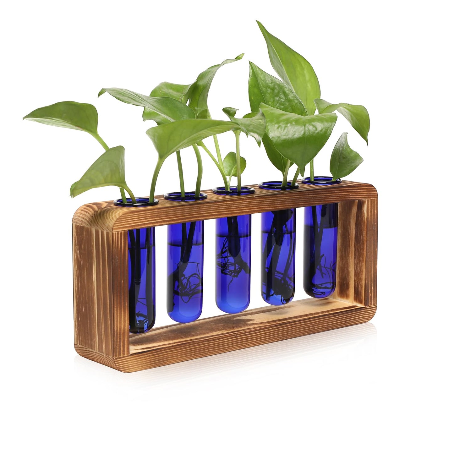 Glass Plant Propagation Station with 5 Test Tubes Colorful Planter Vase Birthday Gifts for Women in Wooden Stand