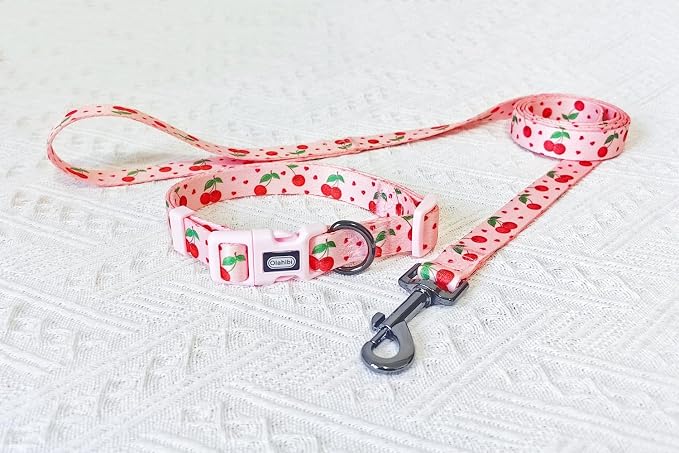 Dog Collar Leash Set, Fruit Pattern, Polyester Material, Adjustable Collar and 5ft Matching Leash, for Small Dogs.(S, Pink Cherry)