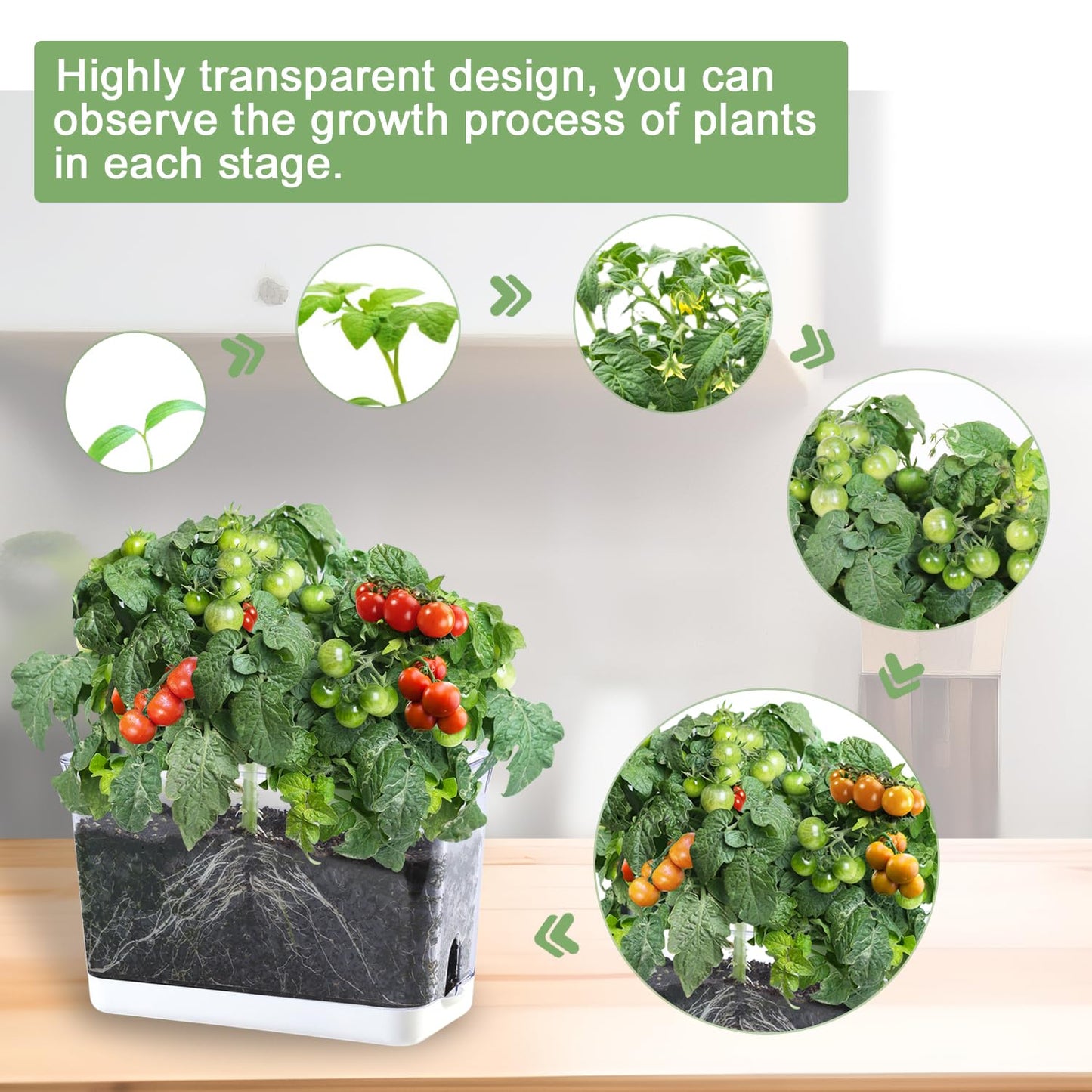 Oliz Self Watering Planters - 4 Pack Rectangular Clear Plant Pots with Drainage Holes for Indoor Plants