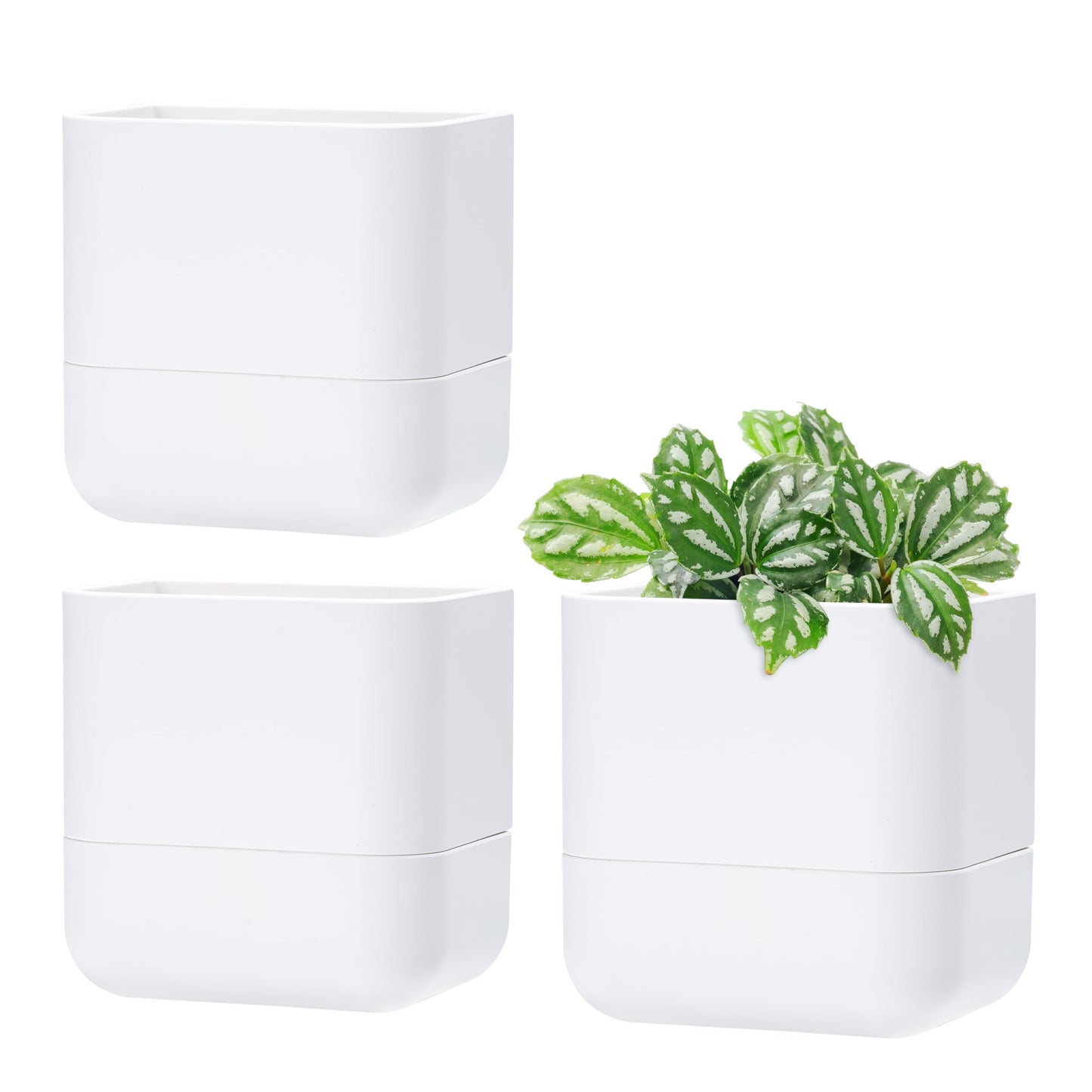 Phoenix Vine 6.5 Inch Wall Mounted Self-Watering Planter Pot for Indoor Houseplants and Herbs | Hanging Planter for Window Sills, Bathroom Walls, Home & Office Décor, White, Set of 3, 01-C-D-3