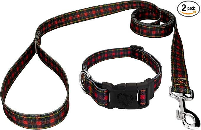 Country Brook Petz - Buffalo Plaid Everyday Dog Collar and Leash - Plaid and Argyle Collection Featuring Charming Designs (1 Inch, Large)