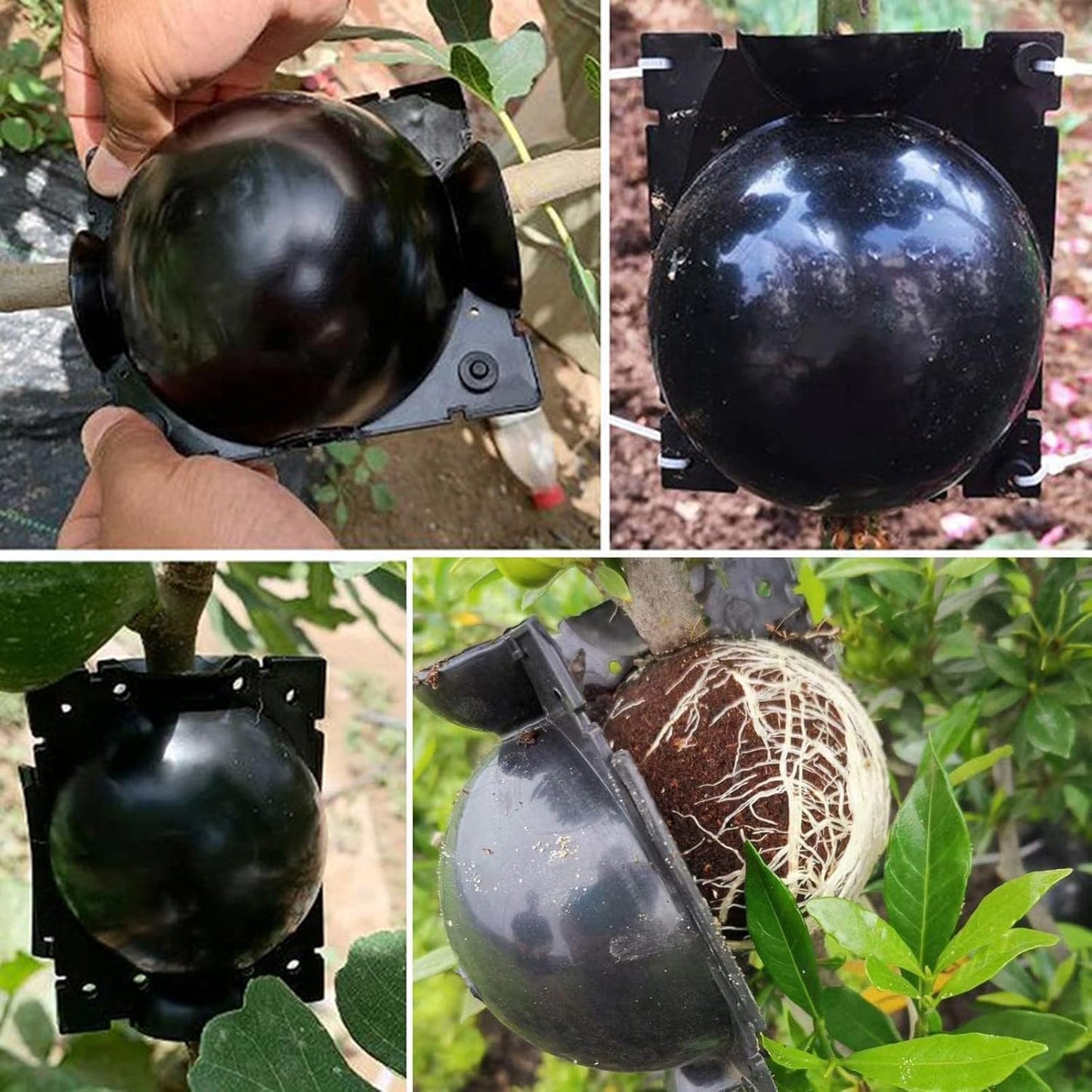 20 PCS Propagation Stations Air Layering Pods, Reusable Rapid Root Plugs Air Layering Propagation Kit Grafting Tool Take Root Box Plant Propagation Ball Tree Grafting Supplies Plant Root Growing Box