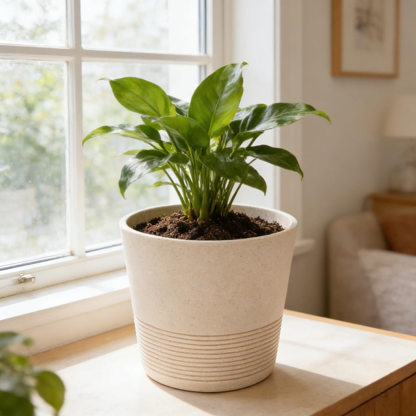 Ekirlin 7 Inch Indoor Plant Pot, Natural Resin Gravel Textures Planters, Modern Heavy Planter with Drainage Hole, Removable Rubber Stopper and Non-Slip Soft Pad, Decorative Pot for Home/Outdoor/Garden