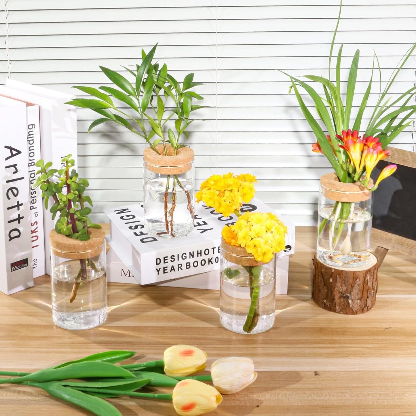 Plant Propagation Station,Hydroponic Glass Container Vase 2 Sizes Planter Propagated Jars for Desks, Houses, Garden Decorations,Home Kitchen Decorations and Gifts cu.20.5 (6pcs)