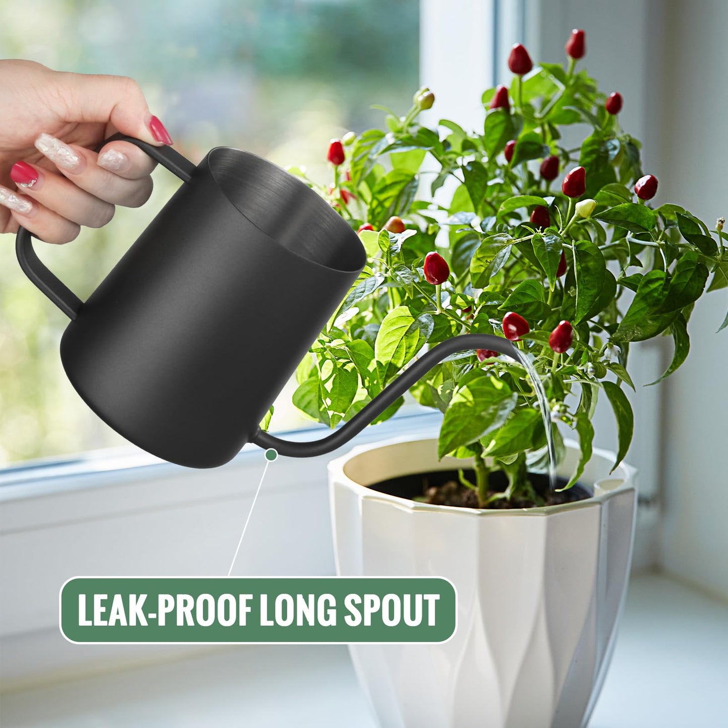 Small Watering Can Indoor Plants - 20 oz Mini Stainless Steel Watering Can with Long Spout Rust-Proof Tiny Metal Watering Can for Small House Plants Flowers Home & Office Black