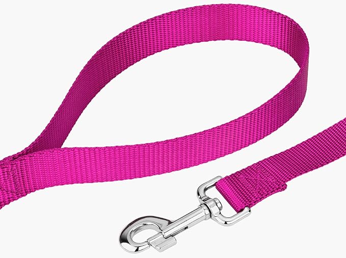 Country Brook Petz - Everyday Nylon Dog Collar and Leash - 10+ Cool Colors (1 Inch, Extra Large, Fuchsia)