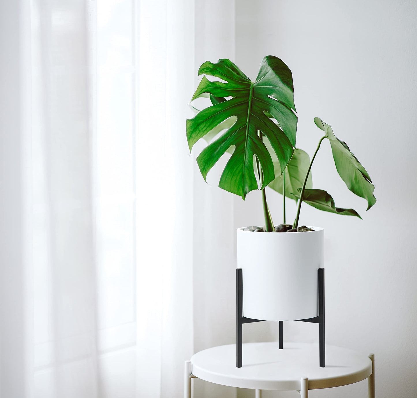 D'vine Dev Mid Century Fiberglass Resin Planter Pot with Iron Stand, 8 inch, Matte White, 96-A-1-S