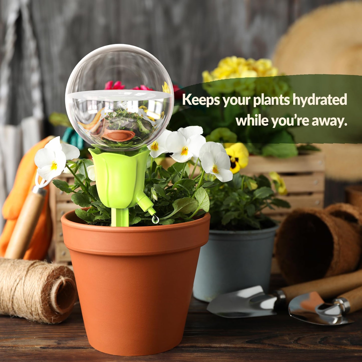 NiHome 2PCS Self-Watering Globes for Indoor & Outdoor Plants, Adjustable Flow Automatic Drip Irrigation Bulbs w/Tulip Stakes for Potted Plants, Succulents, Hanging Baskets, Gardens (Pink + Green)