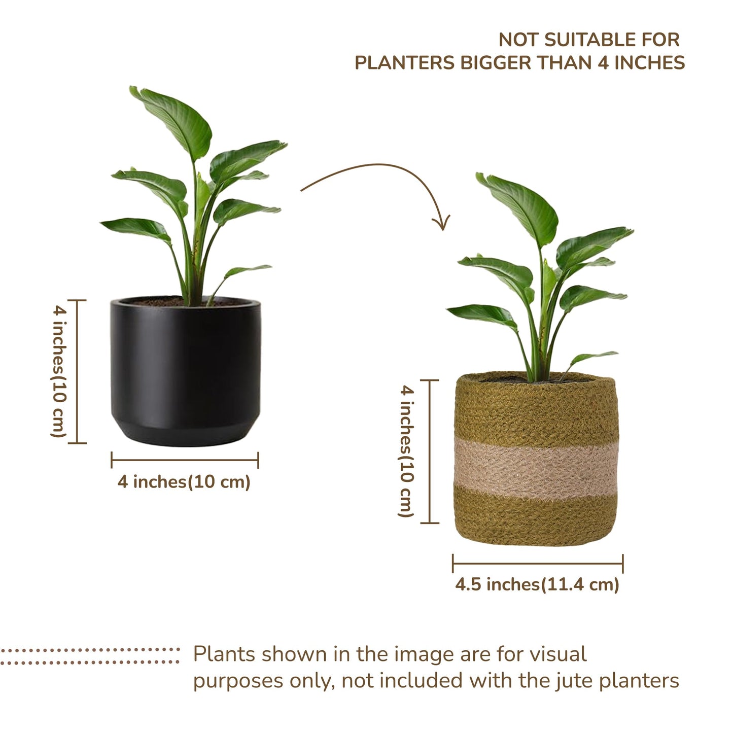 Eco Living Jute Planter Basket-Woven Jute Rope Covers for Decorating Indoor/Outdoor Succulents, Small Plant Pots-Set of 2-Multi-Purpose Storage Bins 4.5 Inches - Modern Style Décor - Olive & Natural