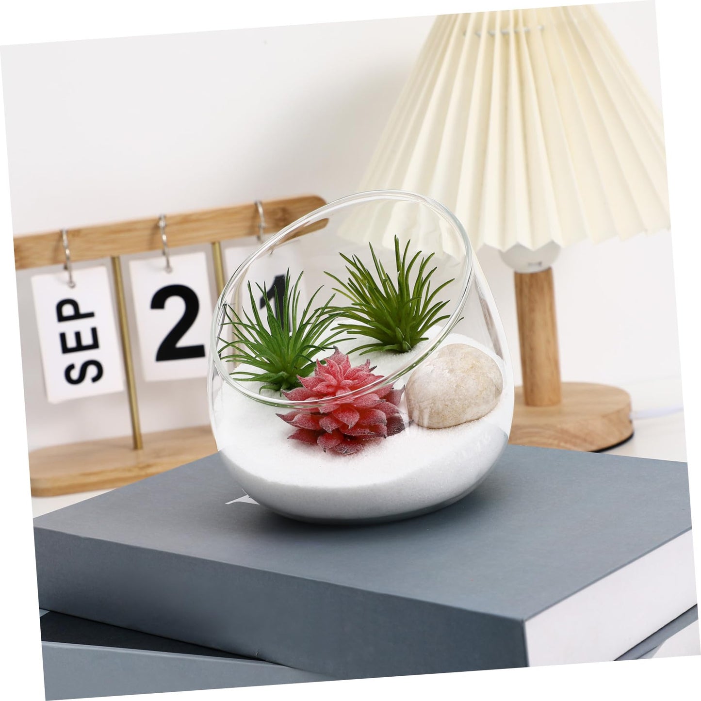 MOTHNUR Micro Landscape Ecological Bottle Transparent Glass Terrarium for Succulent Plants Elegant Decor Durable Eco-Friendly Design Nature Lovers