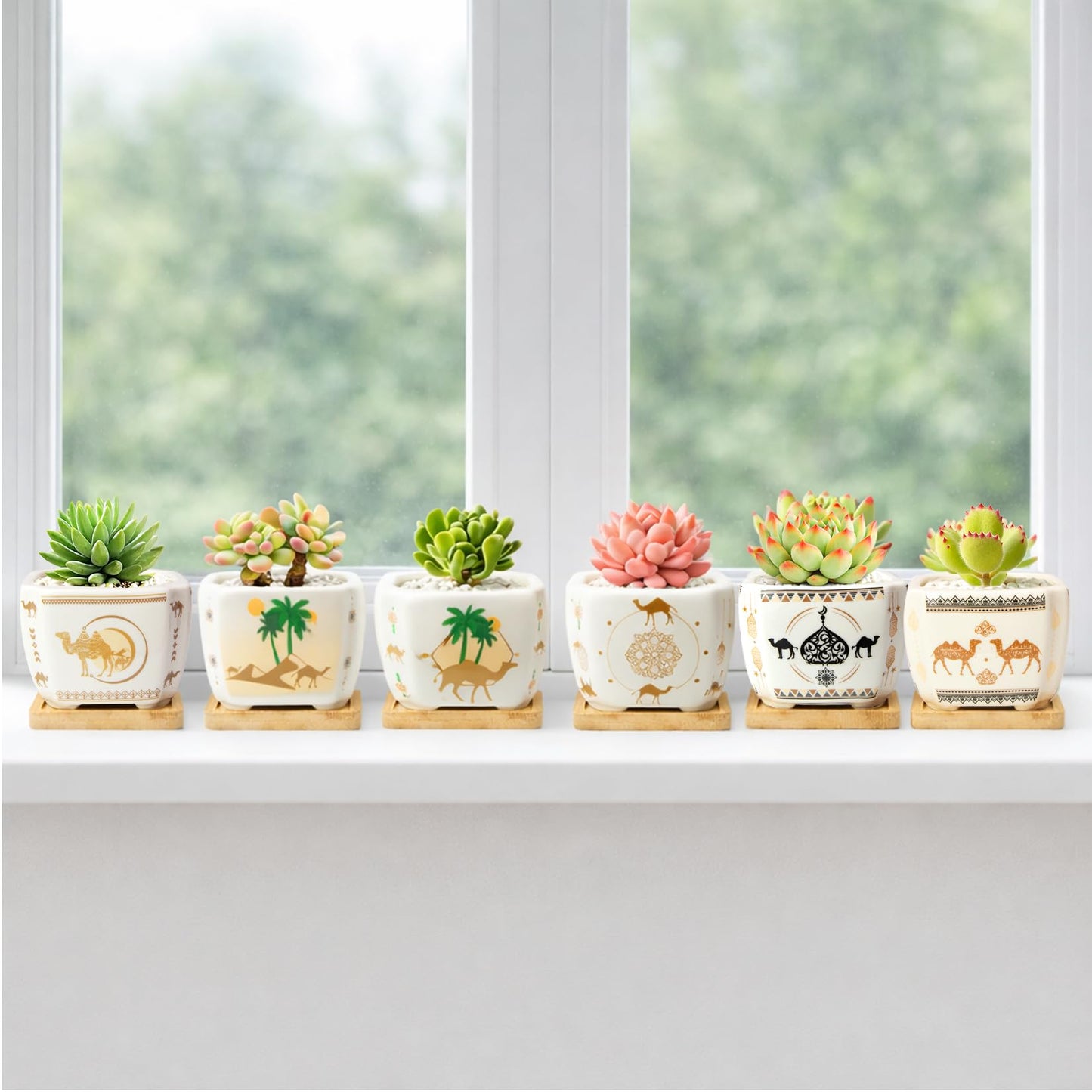 Succulent Pots with Drainage, 3.2" Small Plant Pots with Bamboo Trays, Ceramic Pots for Indoor Plants, Cactus Pots, Mini Succulent Planters for Home Garden Decor, Set of 6