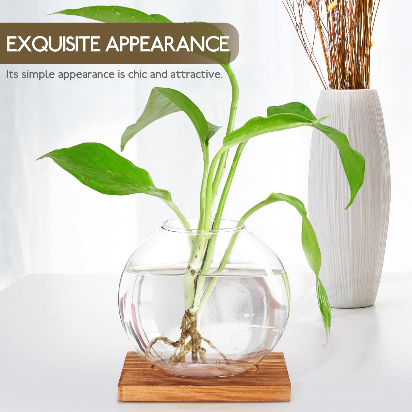 TOKIDNY Glass Plant Vase with Retro Wooden Base for Hydroponic Green Vine Propagation, Home and Office Decorative Flower Bottle Terrarium, Desktop Hydroponic Planter for Living Room