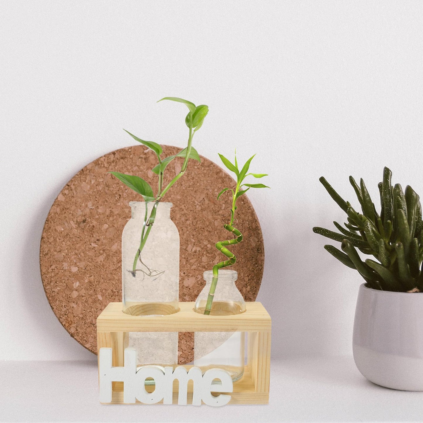 Kichvoe Glass Hydroponic Plant Vase with Wooden Stand, Nordic Style Tabletop Glass Planter for Air Plants and Houseplants, 2pcs Decorative Home Garden Terrarium Containers