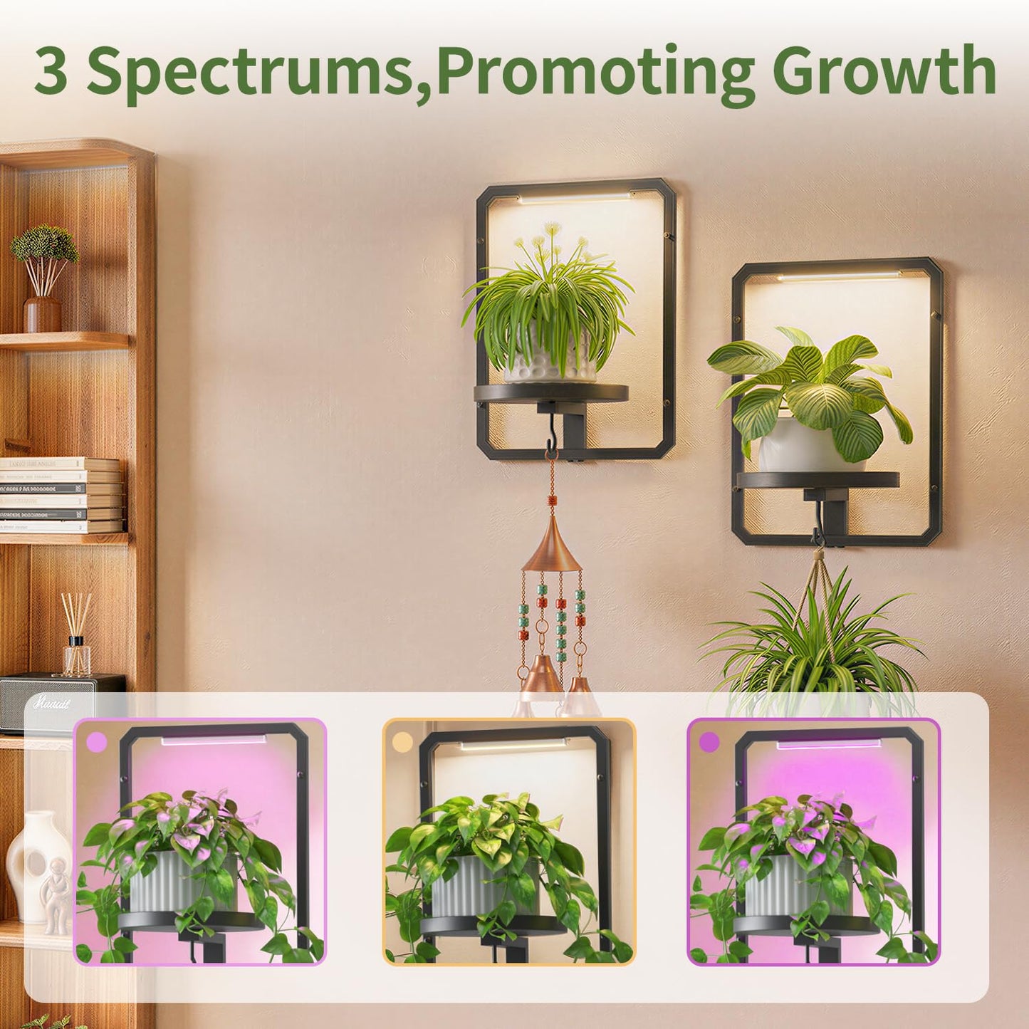 LASZOLA Plant Picture Frame Holder Wall Mount Indoor Window with 2 Grow Light, 2 Pack Modern Floating Flower Stand Shelf with Hooks, Metal Hanger Display Decor for Living Room, Black