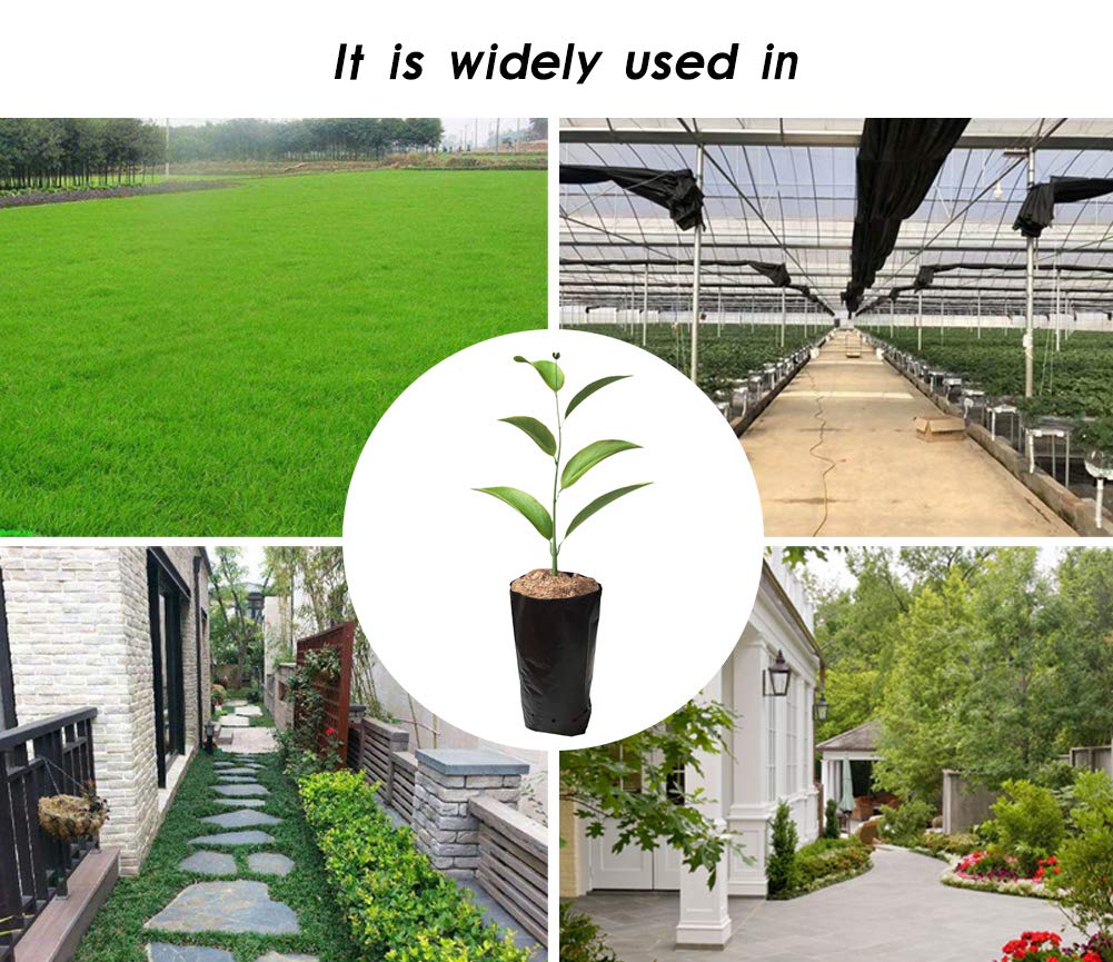 Frjjthchy 100 PCS Thicken Plastic Nursery Bags for Plants Fruit Flower Grow Bags Seedling Pots (7.87x13.78 in)