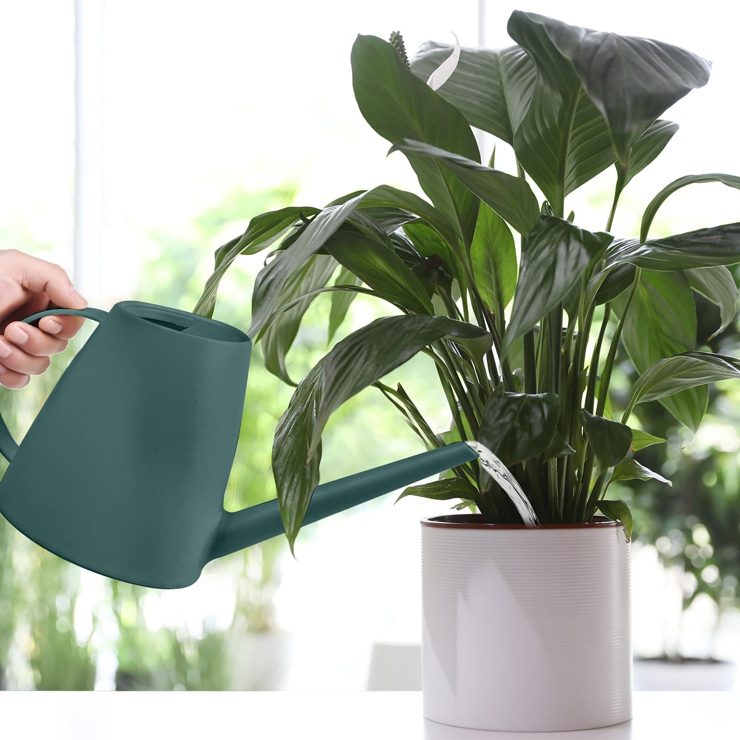 TTAOE GN Pro Grip Plastic Watering Can - for Indoor and Outdoor House Plant Garden - with Long Spout - 1/2 Gallon - Blackish Green
