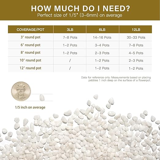 NUPICK 6 lbs Pebbles for Indoor Plants, 1/5 Inch Pea Gravel for Fish Tank, Polished Decorative Rocks for Succulent, Natural River Stones for Vases, Cactus, Landscaping, Bird Bath, Aquarium, White