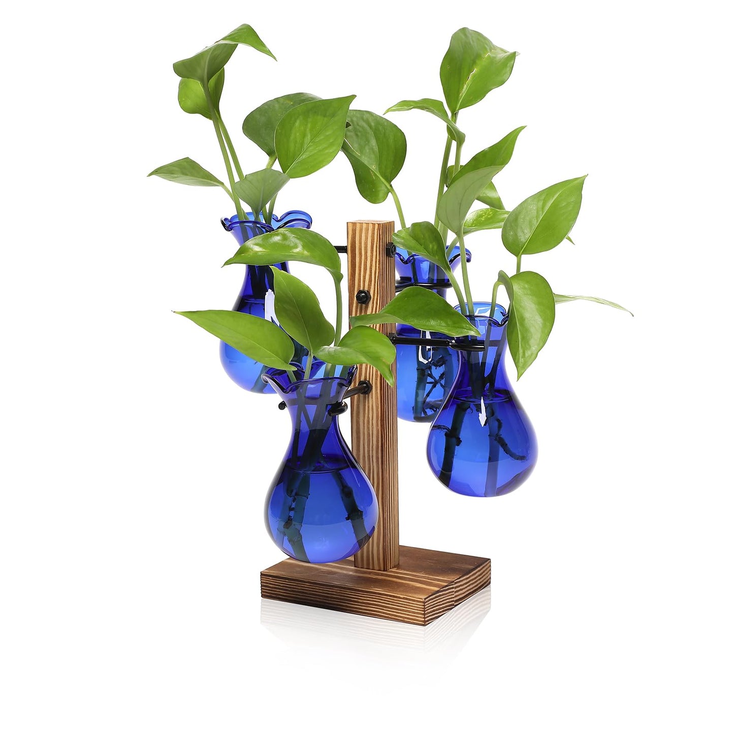 Plants Propagation Stations Bulb Glass Propagation Birthday Gift for Women Garden Plant Lovers - 4 Bulb