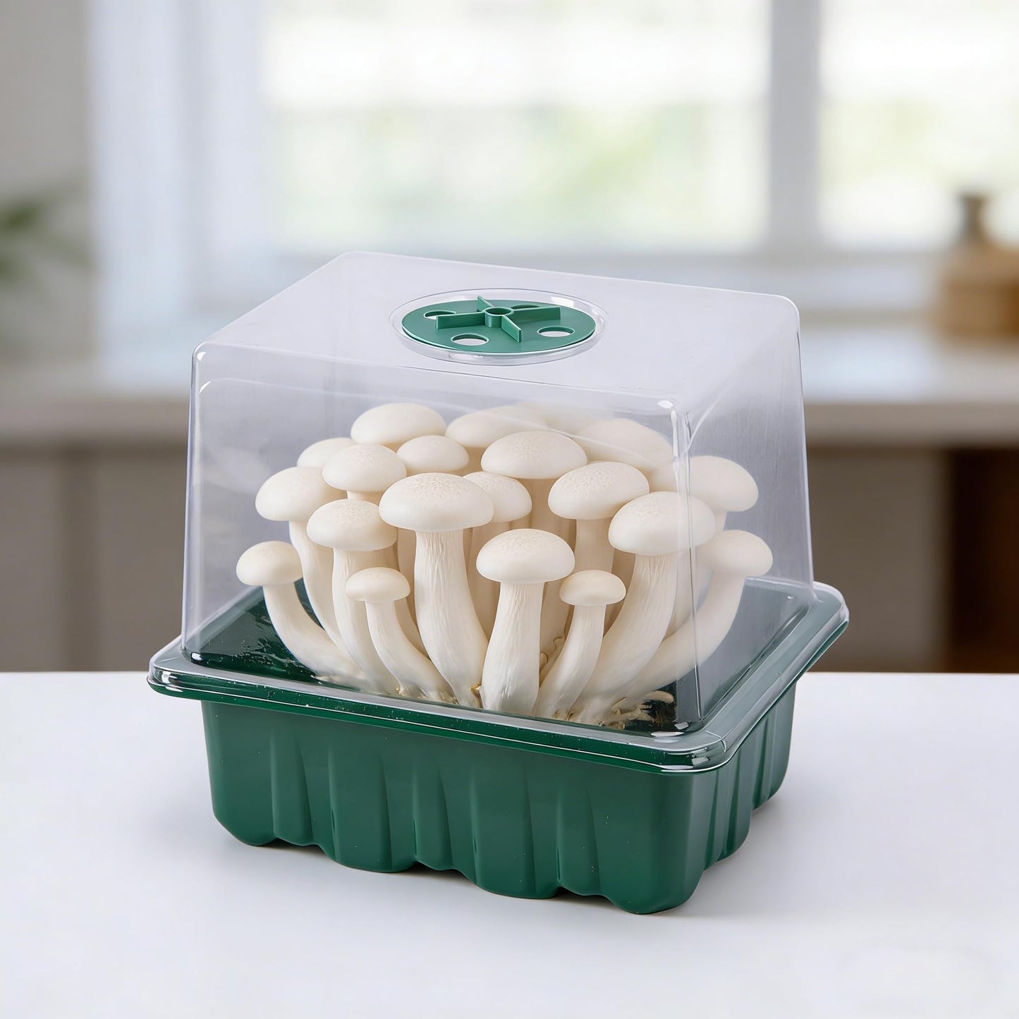 DECOHS 2 Pack Monotub Mushroom Grow Kit, 6.5" x 5" x 6.5" Small Mushroom Fruiting Chamber Propagation Boxes, Monotub Mushroom Growing Box Mini Greenhouse with Spray Bottle for Horticulture Supplies