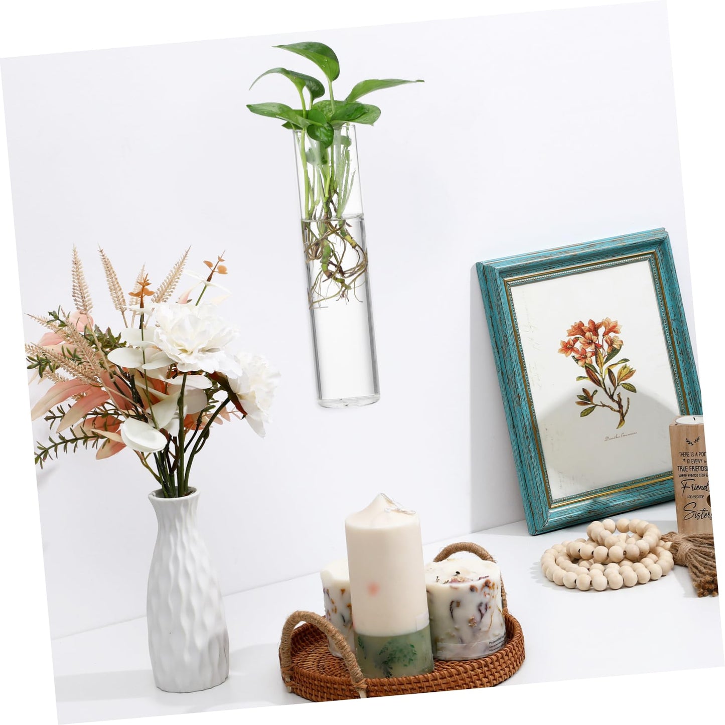 Zerodeko 2pcs Clear Glass Cylinder Wall Vases Sleek Hanging Glass Planters for Hydroponic Terrarium Plants Transparent Wall Mounted Floral Holders with Streamlined Design for Home and