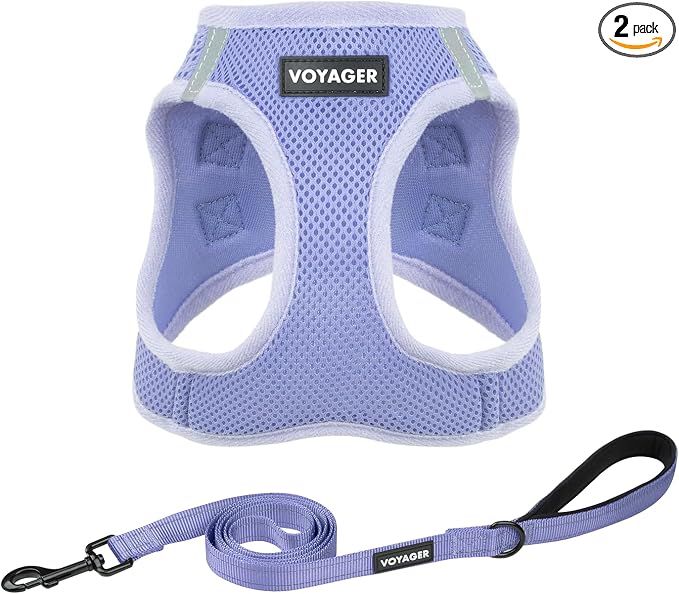 Best Pet Supplies Voyager Step-in Air All Weather Mesh Harness and Reflective Dog 5ft Leash Combo with Neoprene Handle, for Small, Medium and Large Breed Puppies - Lavender, L