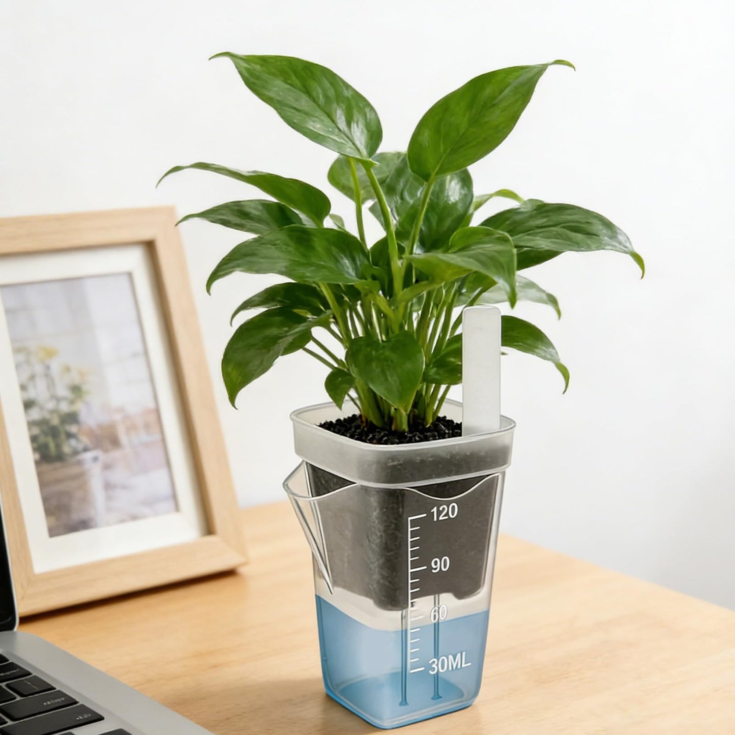 Fukaisu 12pcs 2in/5cm Self Watering Plant Pots with 12 Plant Labels, Small Clear Plastic Propagation Cups with Water Level Indicator & Drainage Hole for Seedlings Cuttings Succulents Herbs Vegetables