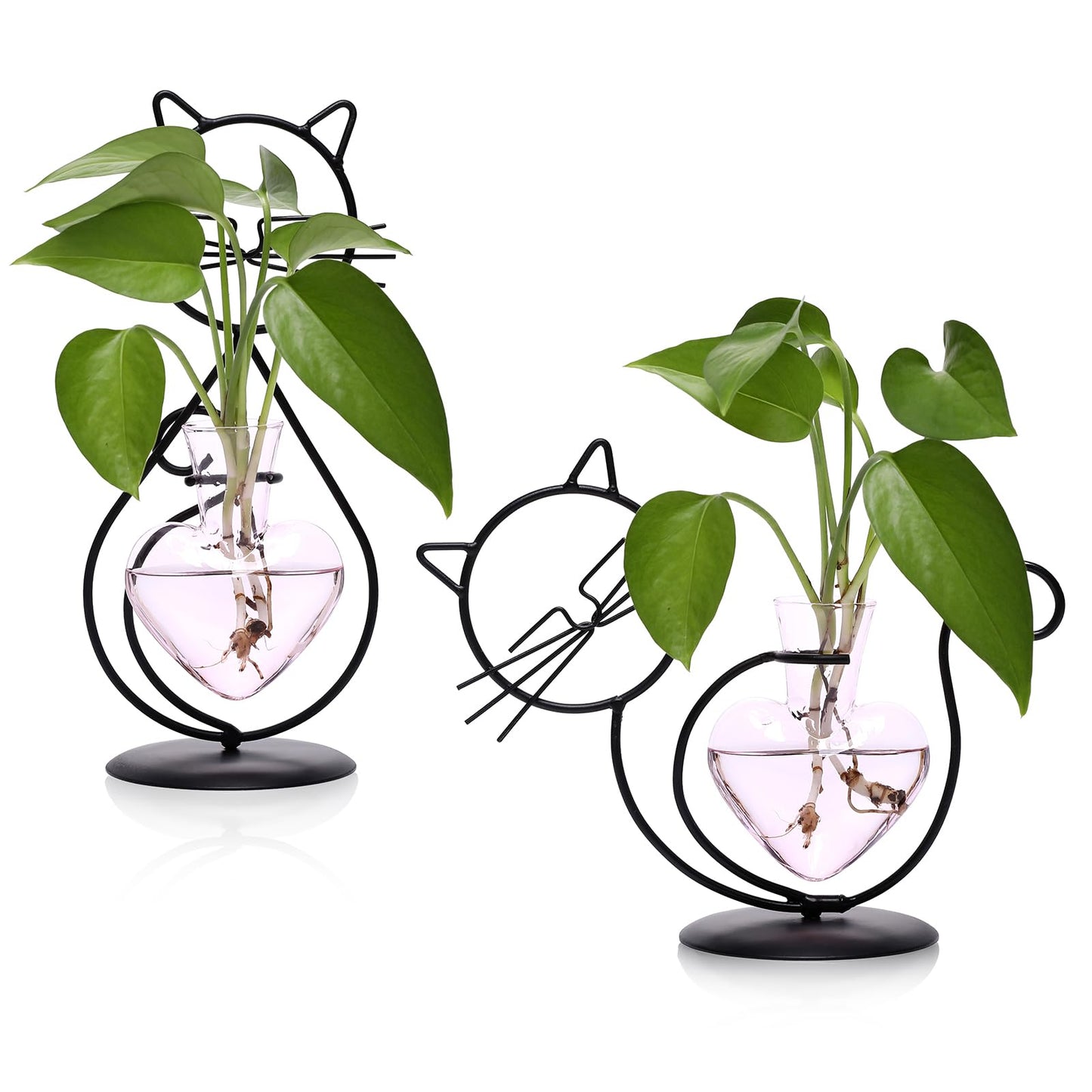 Plant Terrarium Plants Propagation Station Cat Lover Gifts for Women Home Office Decor Cat Desk Accessories