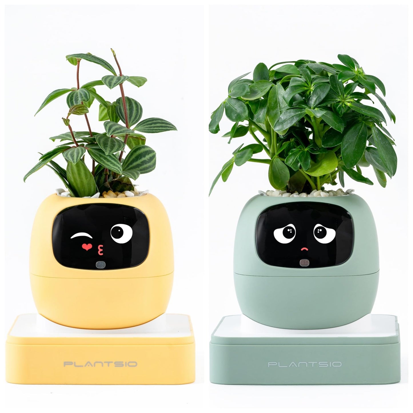 2nd Generation Ivy Smart Planter Pot for Home Plants AI Robor Flower Pot Pet Toy for Children and Family
