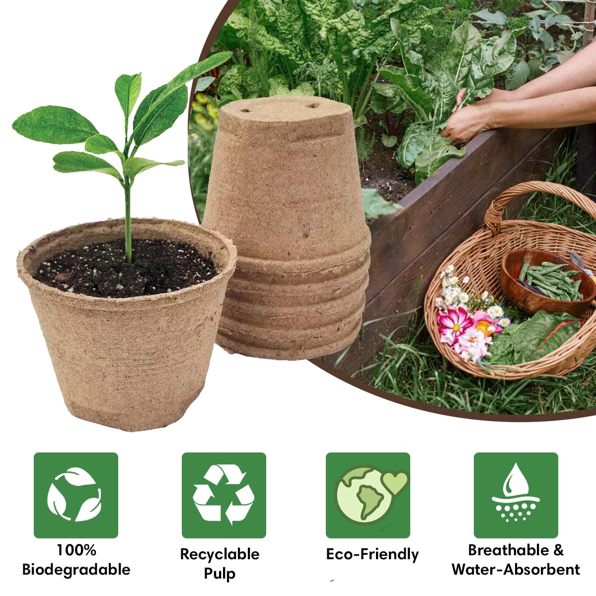 Garden Haven Seedling Starter Kit Germination Grow Cups and Soil (10 Pack) Biodegradable Peat Pots, Coco Coir Soil Discs, Plant Markers - Organic Grow Kit for Seed Germination, Indoor/Outdoor (2)