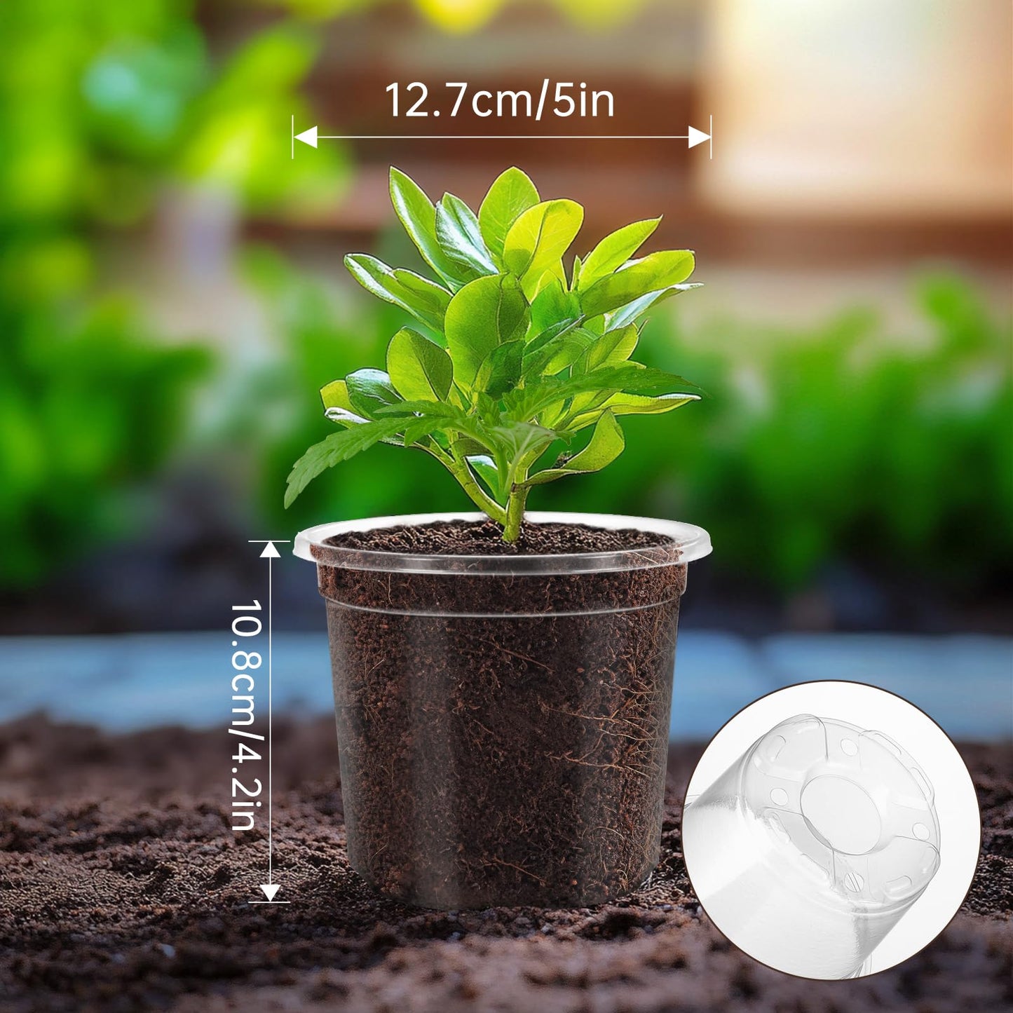 WandaQueen 30 Packs 5 Inch Reinforced Clear Nursery Pots for Plants with Drainage Holes, High Transparency Plastic Seedling Plant Pot with 20 Labels